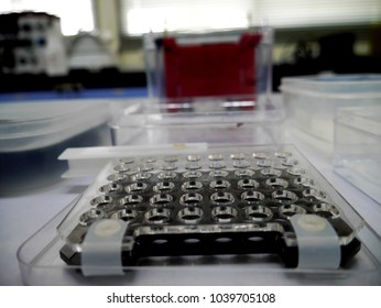 Western Blot Equipment On A Lab Table