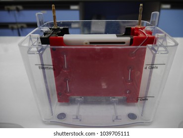 Western Blot Equipment On A Lab Table