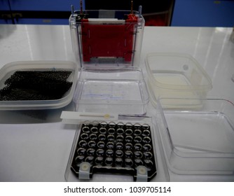 Western Blot Equipment On A Lab Table