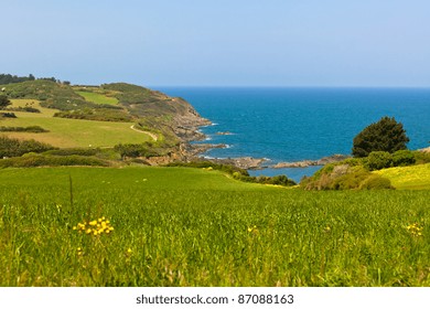 Western Brittany view: ocean, meadows and cliffs. Horizontal shot - Powered by Shutterstock