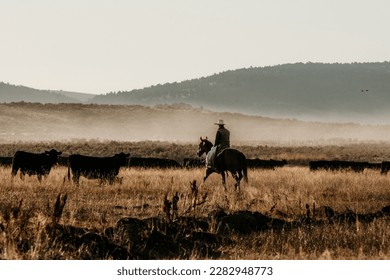 
Western Cattle Ranch Photography Idaho  - Shutterstock ID 2282948773