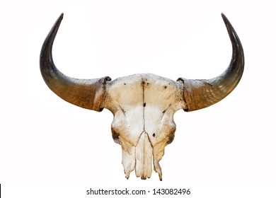 Western Country Like Head Of Horn Or Skull Of Animal For Adornment House
