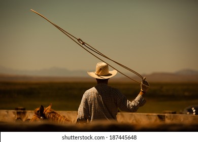 Western cowboy roping on horse with lasso in the air