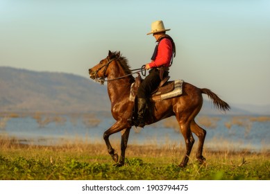 Western Cowboys Riding Horses Along The River.