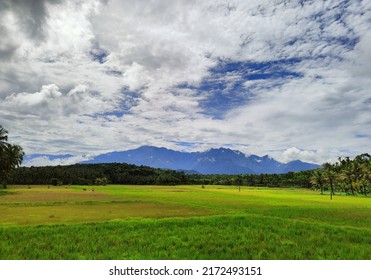 Western ghats image with paddy fields and clouds  - Shutterstock ID 2172493151
