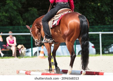 Western horse with rider on the skill trail with wooden poles, photo from behind.