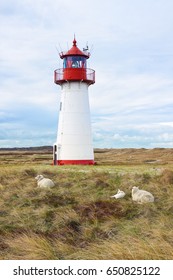 Western lighthouse at List, Sylt. Sheep lying in the dunes in foreground - Shutterstock ID 650825122