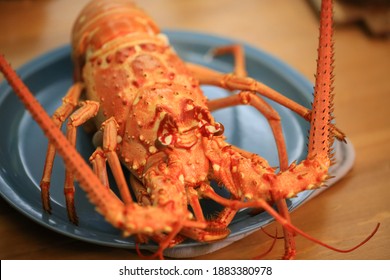 Western Rock Lobster On The Table