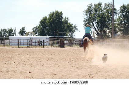 Western Rodeo Team Roping Practice Riding Stock Photo 1988372288 ...