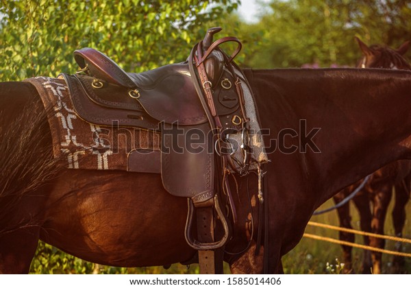Western saddle - leather\
ammunition