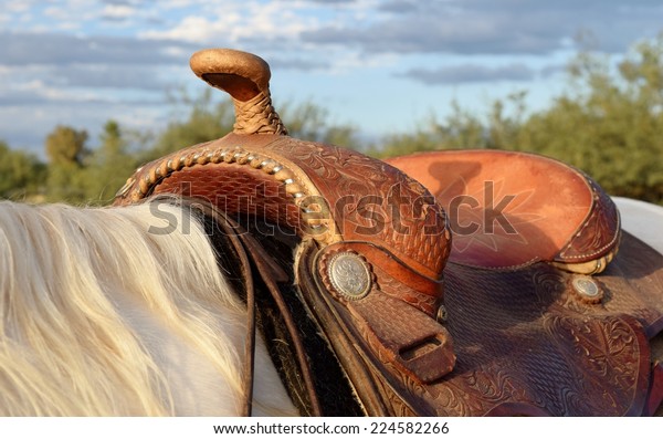 Western saddle on a\
Palomino and white\
horse