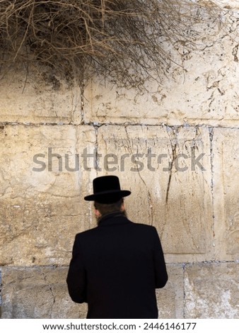 Western Wall (Wailing Wall) with worshipper, Jerusalem, Israel, Middle East