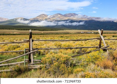 Imagenes Fotos De Stock Y Vectores Sobre Colorado Cattle