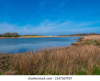 Western Yar Riverbank On The Isle Of Wight