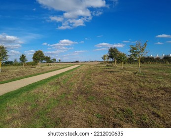 Westgate Woods, Boston Lincolnshire, In The Autumn