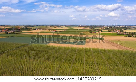 Westhoek countryside landscape around Proven near Poperinge, Flanders, Belgium. Large green hops field in foreground and city of Poperinge visible in background. Agriculture fields in West Flanders.