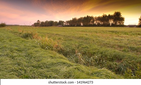 Westhoek Polder