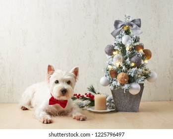 Westie Dog Celebrate Christmas Scandinavian