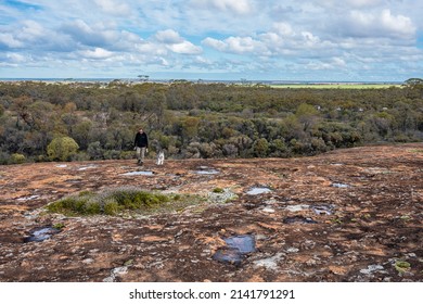 Westonia, Western Australia - July 9 2021: Man And Dog Walking On Sandford Rocks Nature Reserve. Australian Bush In The Background. Cloudy Sky