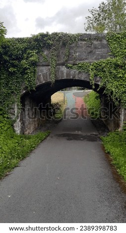 Westport irish bridge walk park
