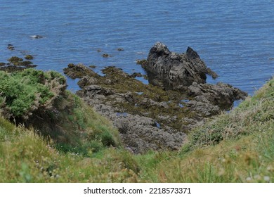 Westward Ho! View Down To Rocks On Coastline