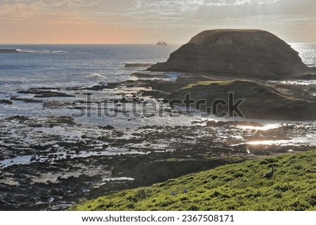 Westwards view in the evening from the boardwalk lookout to The Nobbies cobblestone rock and to the Seal Rocks jutting out of the water, silhouetted vessel in background. Phillip Island-VIC-Australia.