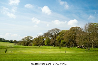 The Westwood public parkland and golf coursese flanked by woodland trees on the Westwood on fine spring morning in Beverley, Yorkshire, UK.