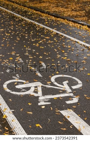 Wet asphalt. The road is covered with autumn leaves. Bike lane sign. Road for cycling.
