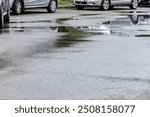 wet asphalt road with rain puddles and parked cars.