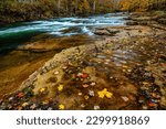 A wet autumn day at Cherry Falls on the Elk River in the unincorporated community of Cherry Falls outside Webster Springs, West Virginia, USA