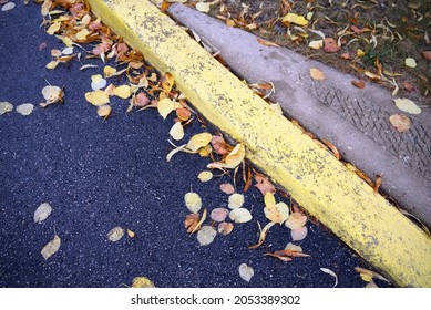 Wet Autumn Leaves Falling On The Street, Sidewalk, Grass, And Yellow-painted Curb