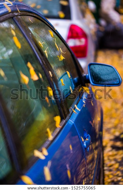 wet\
blue car side with autumn leaves and selective\
focus
