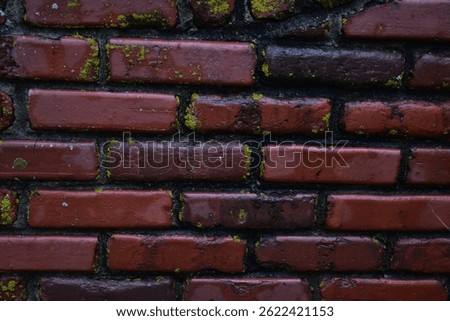 Wet bricks on a wall