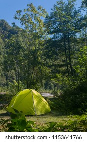 Wet Camping Yellow Tent After The Rain In Forest