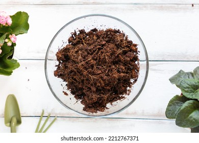 Wet Coconut Substrate In A Glass Bowl On A Wooden White Background, With Plants And Small Garden Tools. Flat Lay. Concept Of Home Eco Gardening.