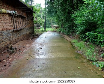 Wet Concrete Pathway Street Road Full Of Moss Algae Beside A Old Indian Building With A Dead End, Sloppy Path With Trees And Copy Space