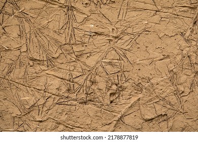 Wet Cracked Clay Texture. Raw Terracotta Background