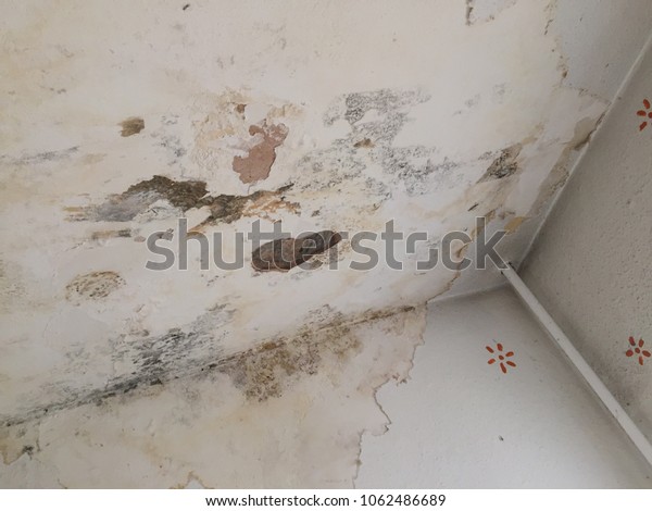 Wet Damp Bathroom Wall Ceiling Black Miscellaneous Backgrounds