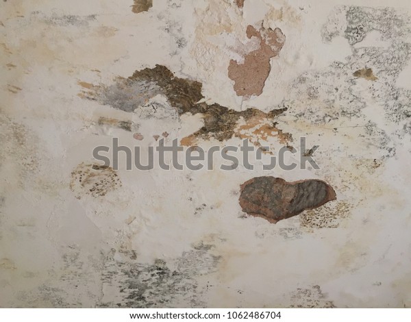 Wet Damp Bathroom Wall Ceiling Black Stock Image Download Now