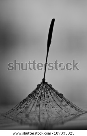 Similar – Image, Stock Photo Unused Watering can Well