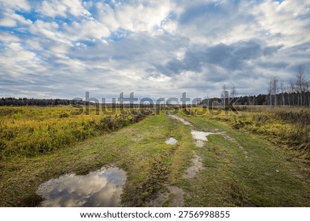 Wet dirt path winds through grassy field under cloudy sky. Yellow wildflowers dot the landscape. Tall trees line the distant horizon. Scene feels peaceful, slightly melancholic