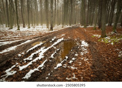 Wet dirt road with snow in woodland on an autumn day, Nowiny, Poland - Powered by Shutterstock