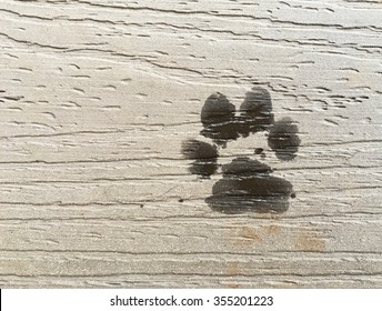 Wet Dog Paw Print On Wood Floor
