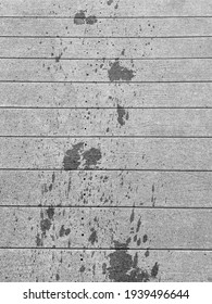 Wet Dog Paw Prints On A Grey Boardwalk