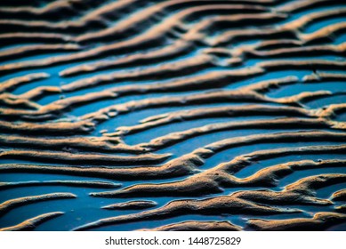 Wild Dunes Tide Chart