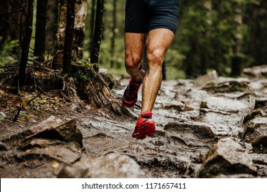 wet feet runner athlete running on trail stones in forest - Shutterstock ID 1171657411