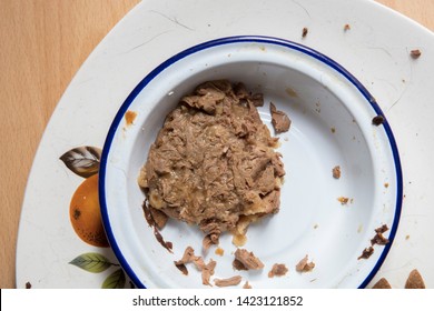 Wet Food For Cat And Dog In Dirty Bowl 