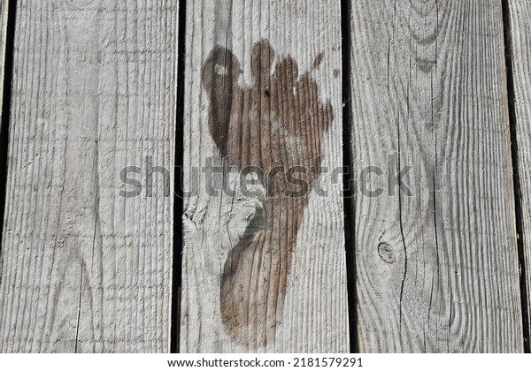 Wet Footprint Bare Foot On Wooden Stock Photo Shutterstock