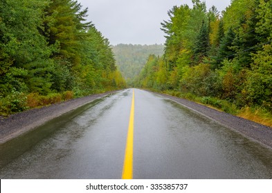 Wet Forest Road On A Foggy And Rainy Autumn Day. Treacherous Driving Conditions