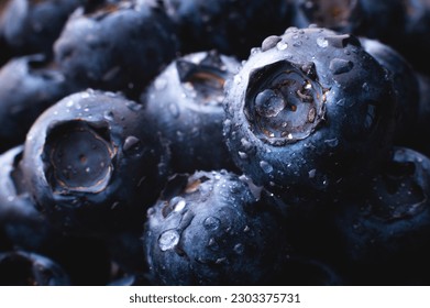 Wet fresh blueberry background. Studio macro photography. blueberries covered with water drops, on a black background. Very detailed macro photography